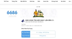 Tìm hiểu ưu đãi 6686 hoàn trả mỗi ngày lên đến 2%